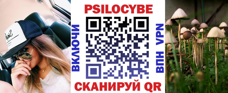 мориарти телеграм  Калининград  Галлюциногенные грибы Psilocybe 