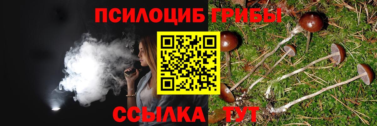 Галлюциногенные грибы мухоморы  Вход с VPN  Калининград 