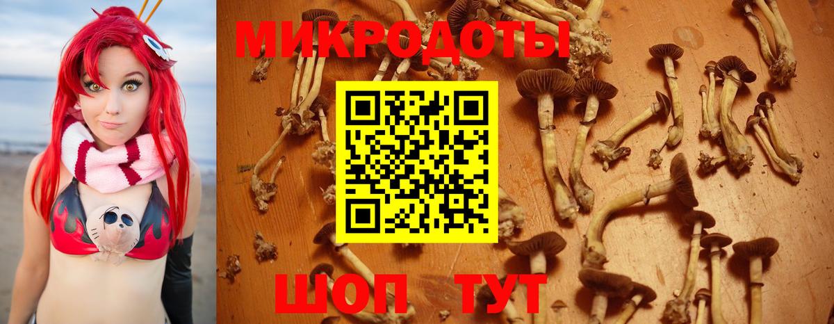 Галлюциногенные грибы Magic Shrooms  Калининград  Галлюциногенные грибы MAGIC MUSHROOMS 