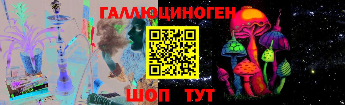 Псилоцибиновые грибы Psilocybe Калининград